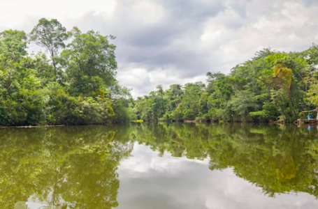 Ekspedicija će pokušati odrediti koja rijeka je duža: Nil ili Amazona