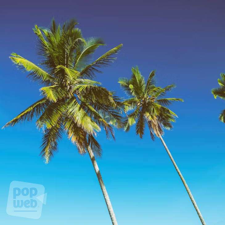  Otkrivena nova rijetka vrsta palmi koje cvjetaju pod zemljom